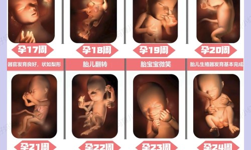 治抑郁症的药用法网 - 为你提供治抑郁症的药用法用量、抑郁症药方